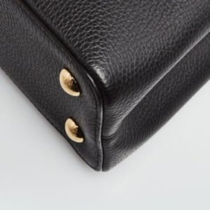 Louis Vuitton Black Taurillon Leather Flower Crown Capucines PM541906 Bag - Image 4